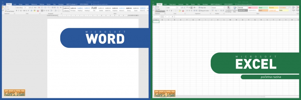 word excel